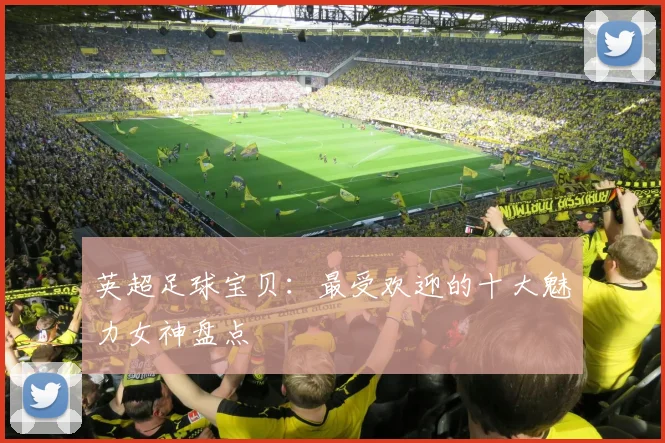 英超足球宝贝:最受欢迎的十大魅力女神盘点