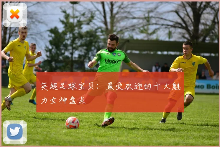 英超足球宝贝：最受欢迎的十大魅力女神盘点